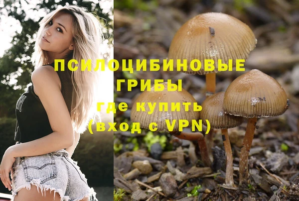 MESCALINE Няндома