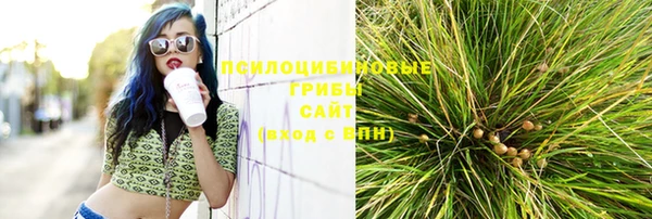 ГАЛЛЮЦИНОГЕННЫЕ ГРИБЫ Нягань