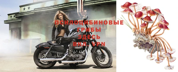 экстази Нязепетровск