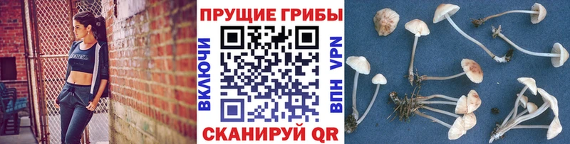 Галлюциногенные грибы ЛСД  Калининск 